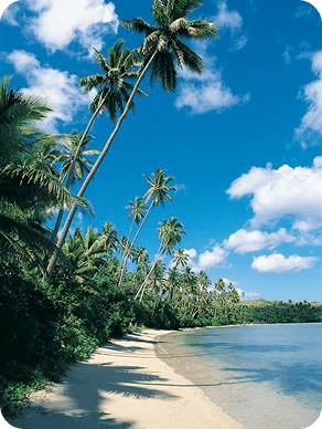 Beaches